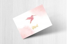 Lieve kolibri Lieve kolibri